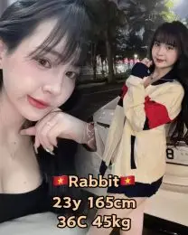 rabbit